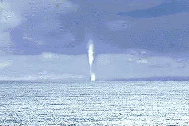 aus dem Wasser austretender Gravitationsstrahl